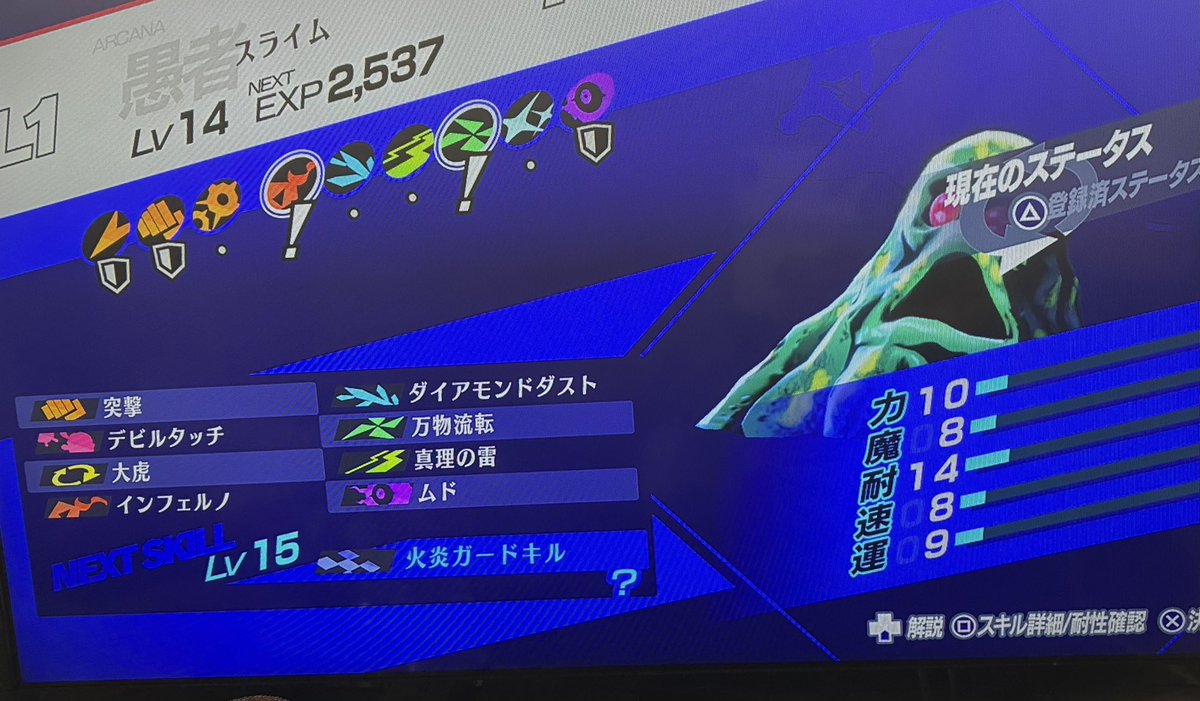 コモンたんR tweet media