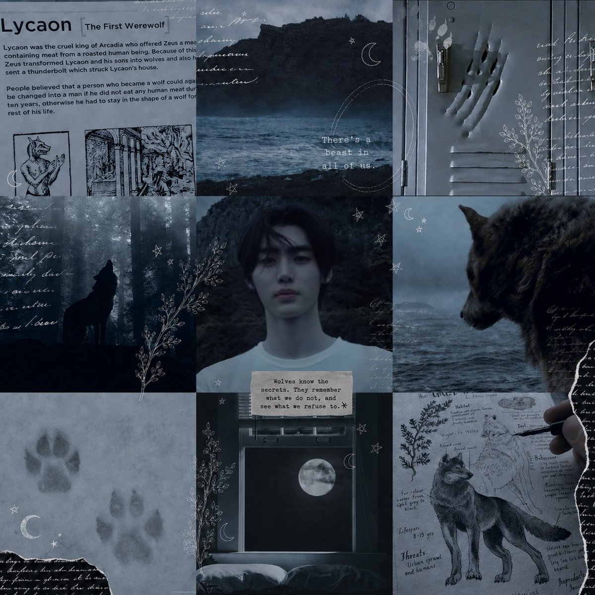 vdlysithe's tweet photo. ㅤ
⠀⠀⠀⠀⠀ ⠀˖𝄞𒂭۪۪۪۪⠀⠀⠀𓐩⠀⠀⠀canela's
moodboard⠀⠀✙☽⠀#Teamwolves
ㅤ
ㅤ https://t.co/srCOEXmqRA