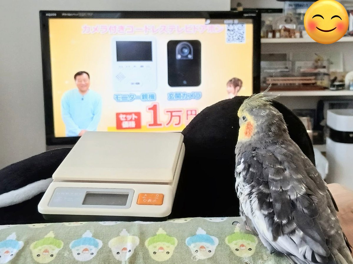 okamesorao's tweet photo. やす～い！ https://t.co/x1uOB2bOsD