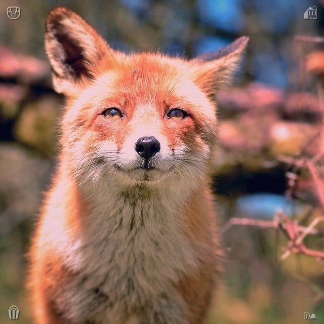 ornezimerman's tweet photo. Reflect before you act. Inspire by being true to yourself.
Empathize with those who are different. Optimism finds the best in every situation. https://t.co/m3L2op1VkF