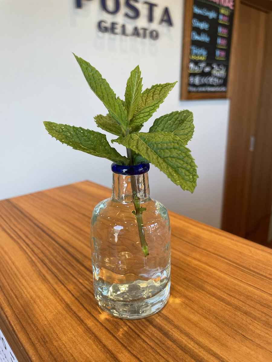 postagelato's tweet photo. チョコミント🌱
久しぶりの登場です🍨
香料を使わずハーブで作っております。
フレッシュなハーブを楽しめるフレーバーです
今日も暑くなりそうです🍦
ぜひお立ち寄りください!
#postagelato
#ポスタジェラート https://t.co/05uq5FMQk9