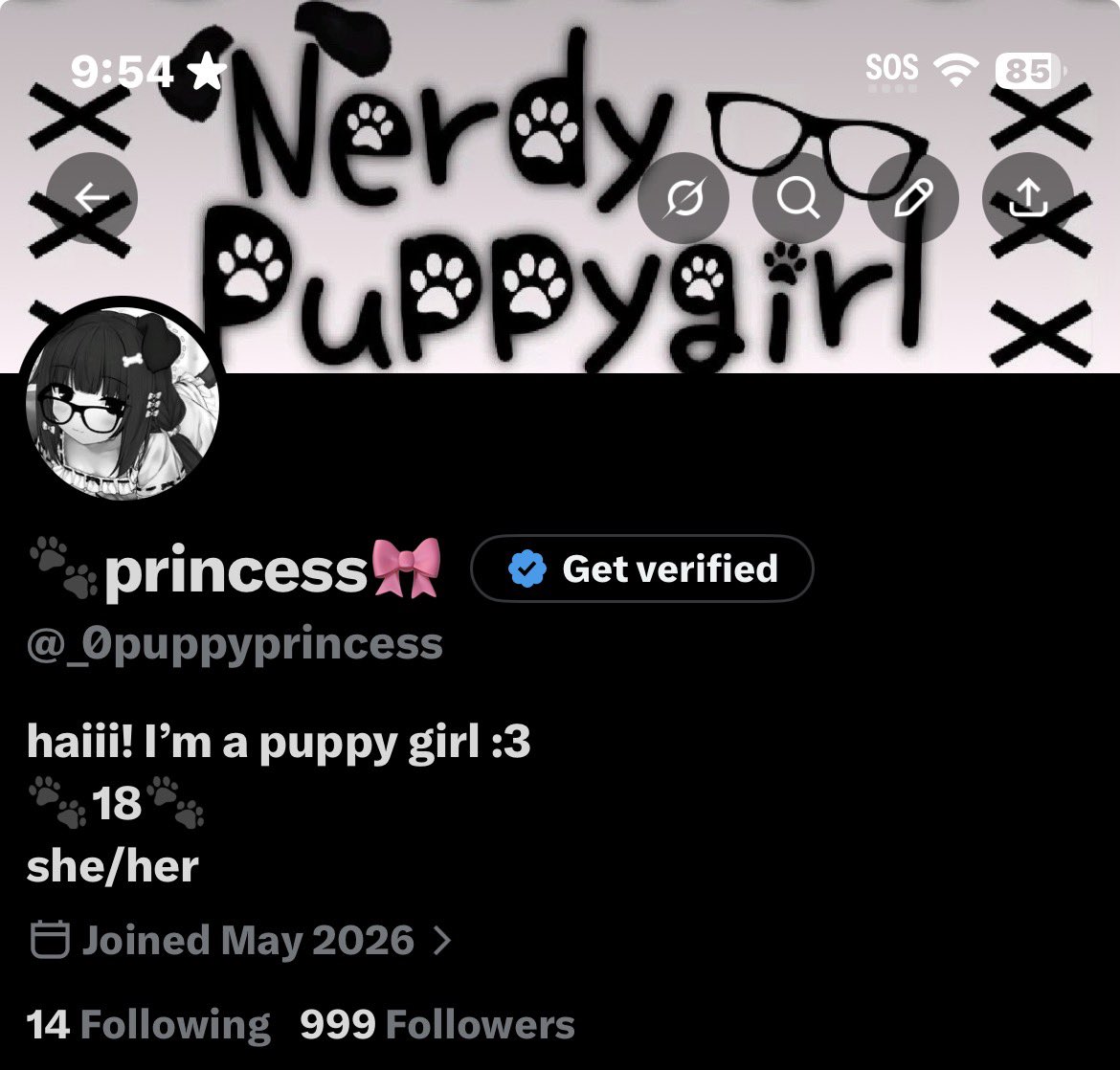 🐾princess🎀 tweet media