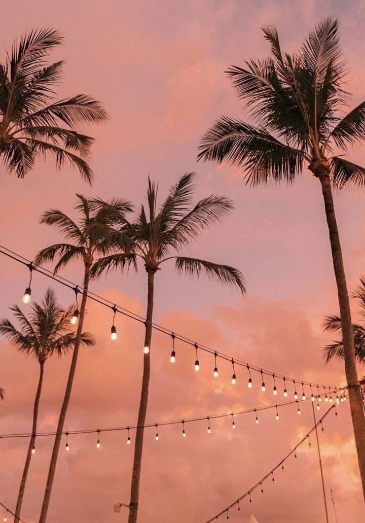 HeavenOn42803's tweet photo. Summer energy https://t.co/R62ZfJSJf6