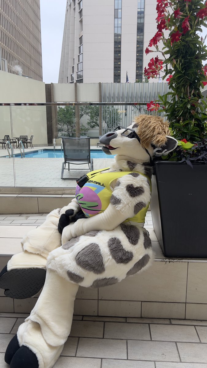 Everett T. Giraffe @ #FWA2026 tweet media