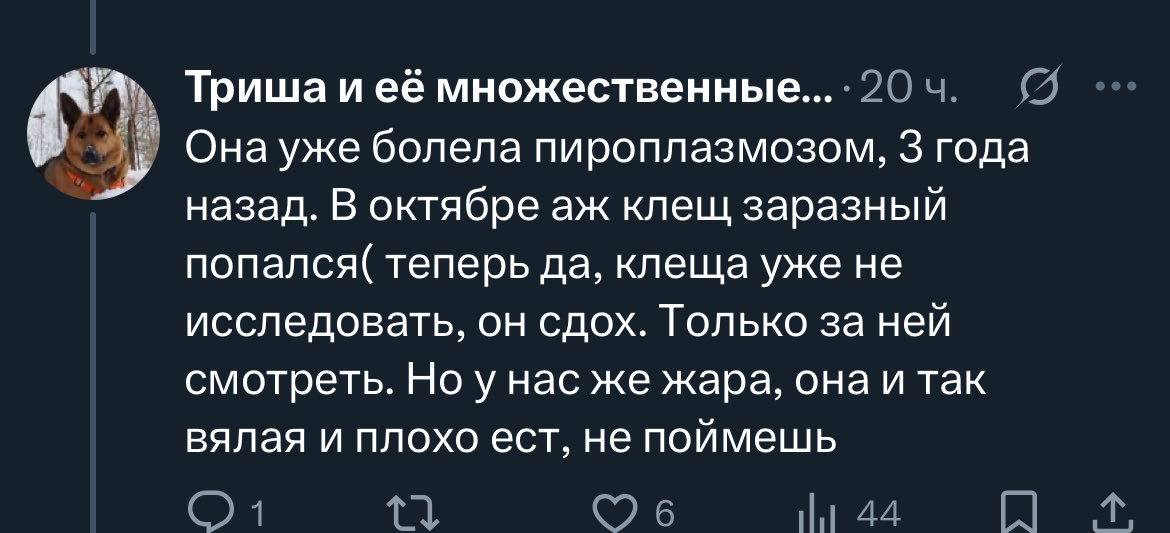 собака - улыбака tweet media