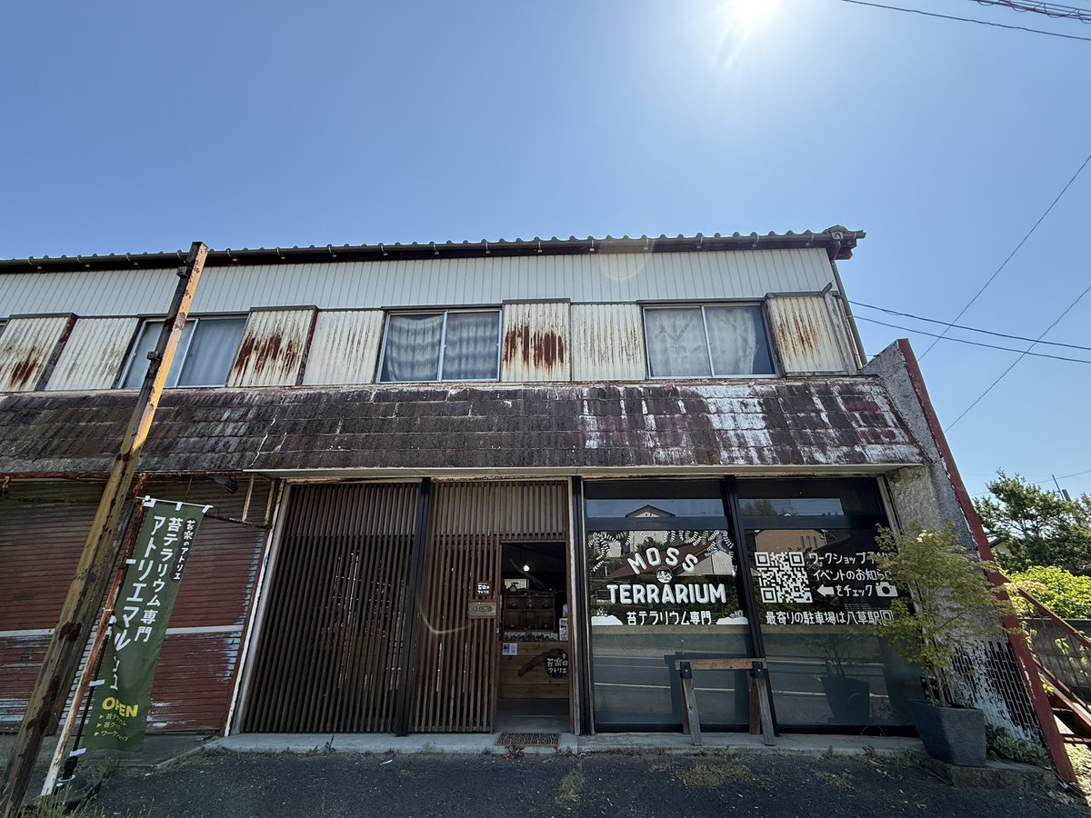KEROYON ミルキーフロッグ専門店 (@KEROYON25252525) / Posts / X