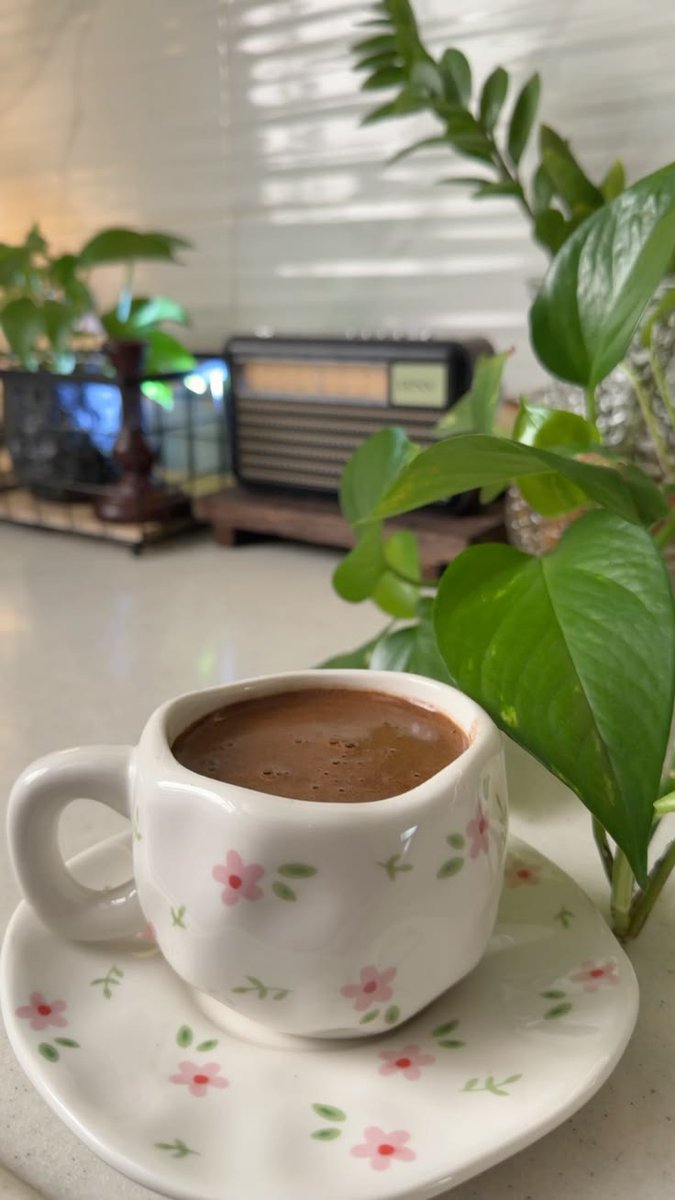 بنت الجنوب🦋 tweet media