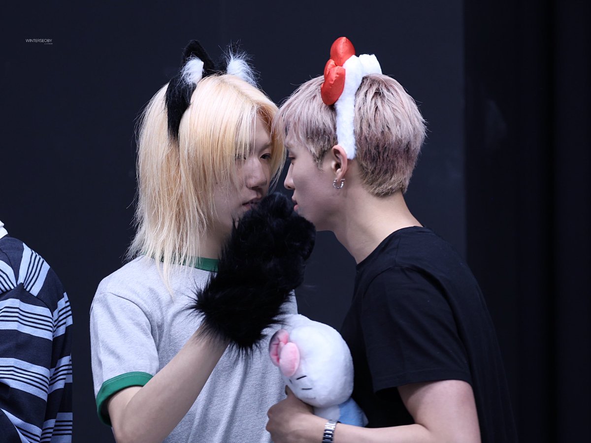 겨울 tweet media
