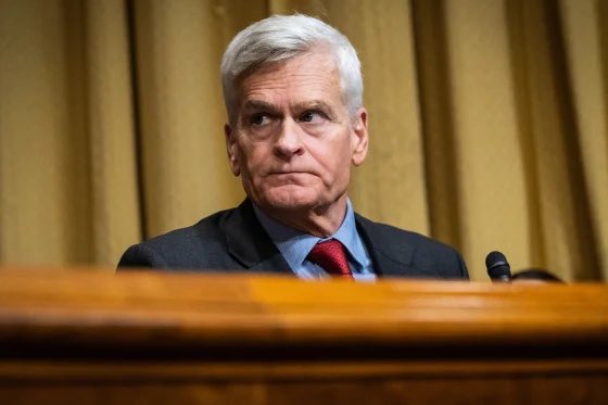 Republicans against Trump tweet media