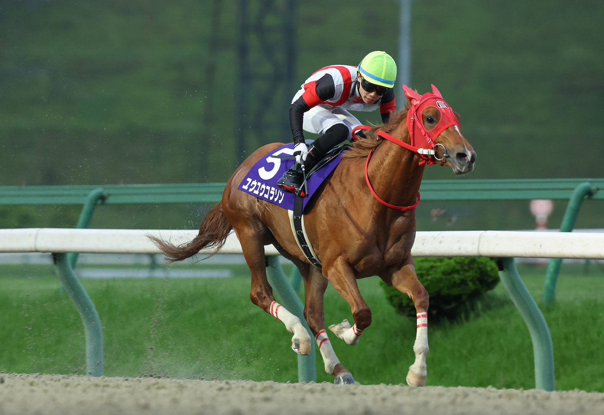 JBC競走 (@JBC_HorseRacing) / Posts / X