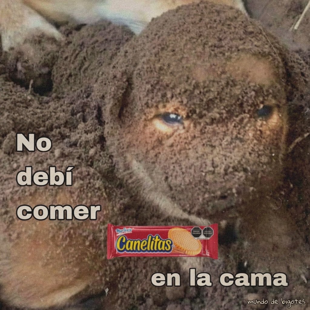 Akalinxx1's tweet photo. @JackRo_423 Mejor vean este meme good https://t.co/Jr2QILHFdS