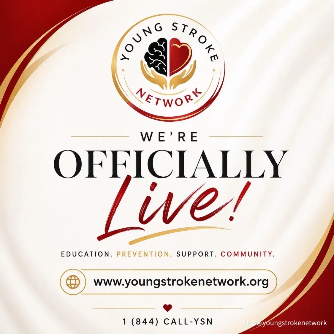 youngstrokenet's tweet photo. Today, we officially launched the website for the Young Stroke Network! 
What started as a vision has grown into a platform dedicated to advancing awareness, advocacy, equity, and visibility in young stroke care.
#stroke #awareness #prevention #health #survivor #young #care https://t.co/fh9zL9u7gR