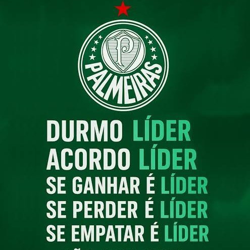 Diego Firmino - Canal P de Porco tweet media
