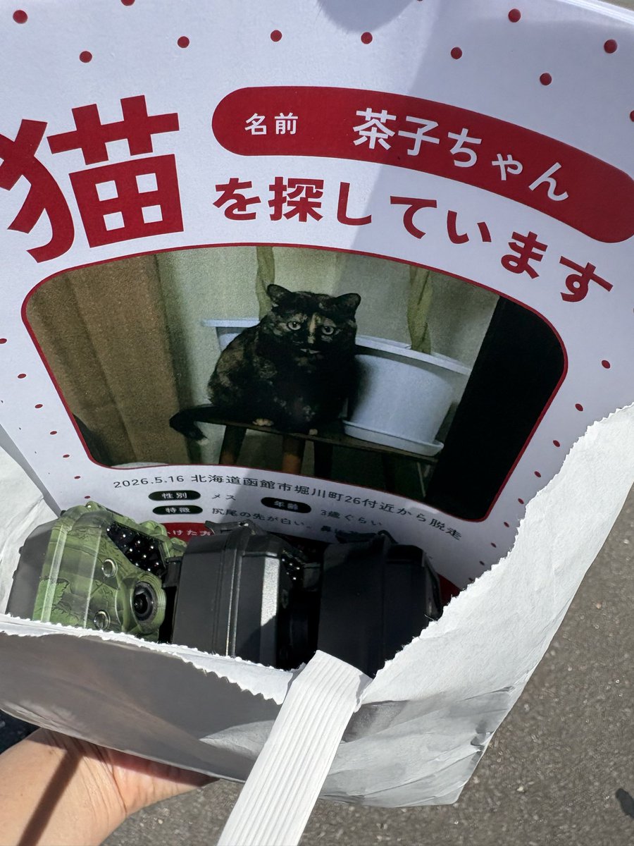 ずっとのおうちmof tweet media
