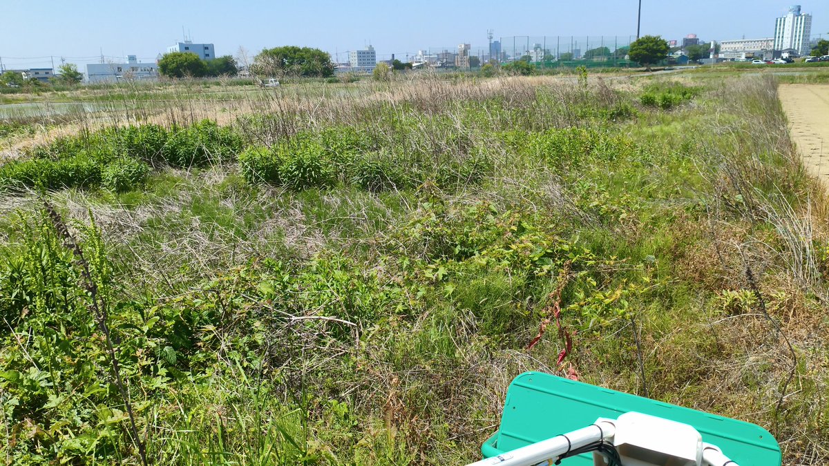 jkroom's tweet photo. 1反だと2時間くらいかかるよ💦 #orec #ハンマーナイフモア https://t.co/cJB2GLww35