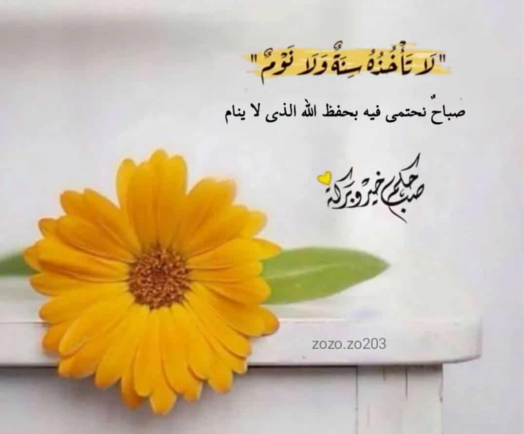 khalid taha tweet media