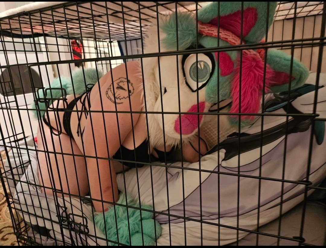 Cherry_B_owo's tweet photo. Please let me out I been a good dog~ #mursuit #softsuit #nsfw #nsfw_acc #nsfw_twt #nsfwfurry #yiff #furryporn #mursuiting #furryAD https://t.co/bgPMQJP7oO
