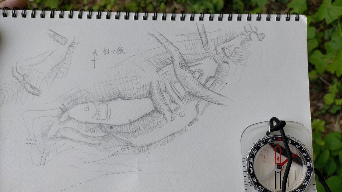 ウモ【埋もれた古城】 tweet media