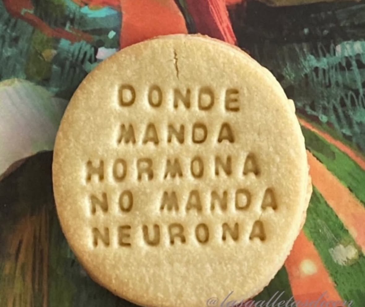 Den de la fuente tweet media