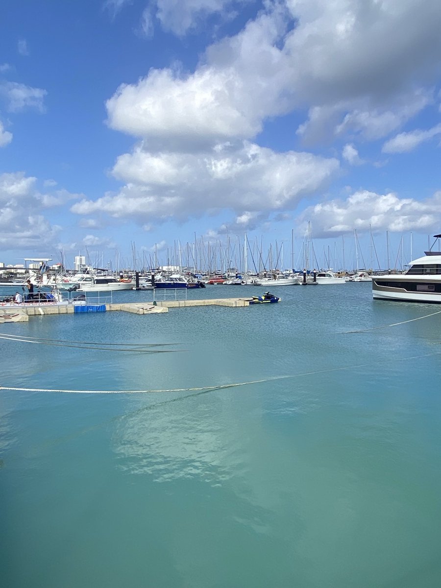 ピーチ様 リクエスト ホテルの前にはハーバー🛥️ ここからダイビングや釣りに出かけるよう
