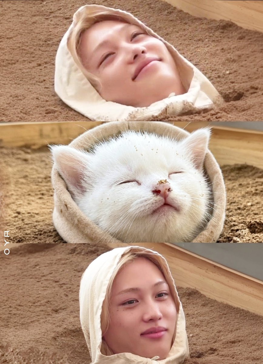 복생이 tweet media
