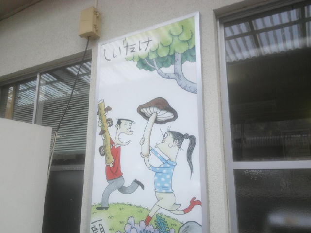 しーさる tweet media
