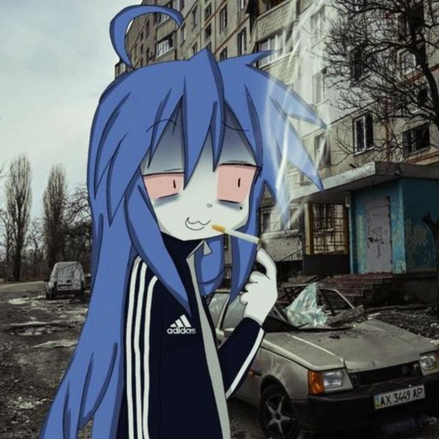 🪷完美的 tweet media