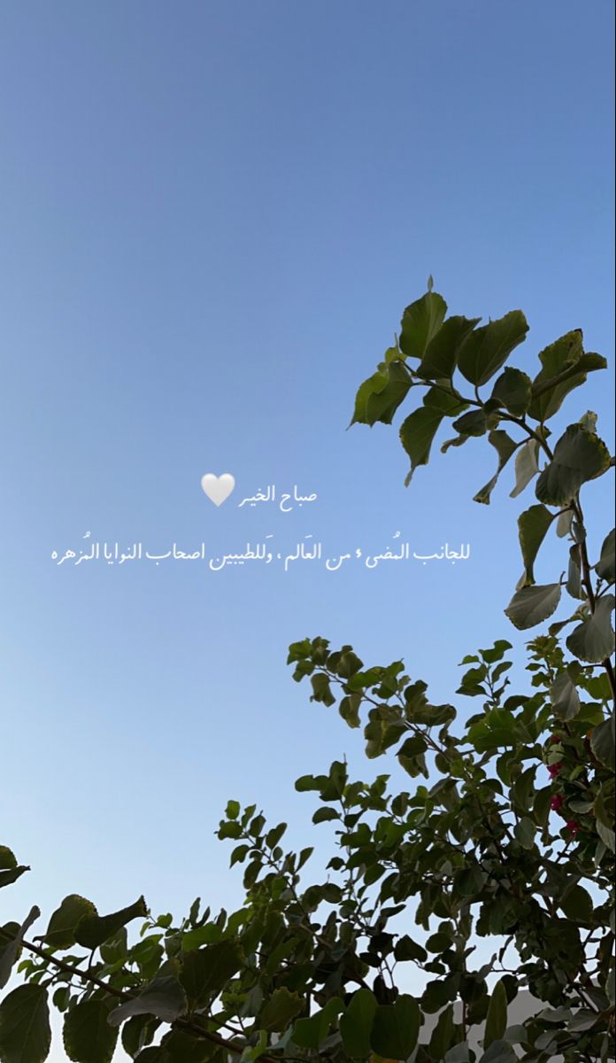 𝙼𝚁.𝙱𝙰𝙳𝙴𝚁 tweet media