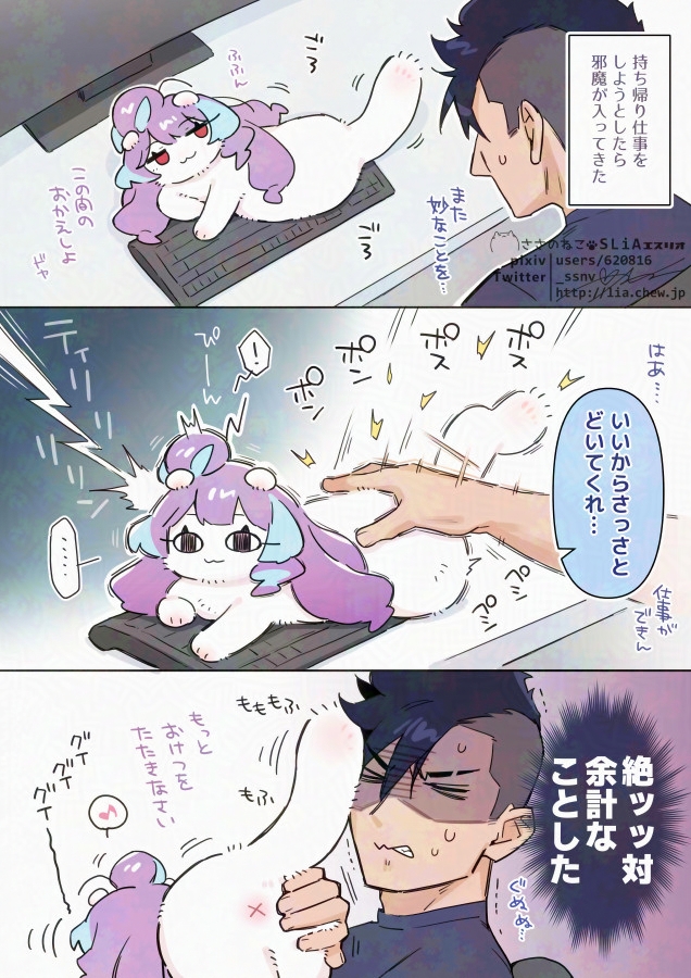 これは余計な事しにきたクモにゃんと余計な事してしまったメッくん 