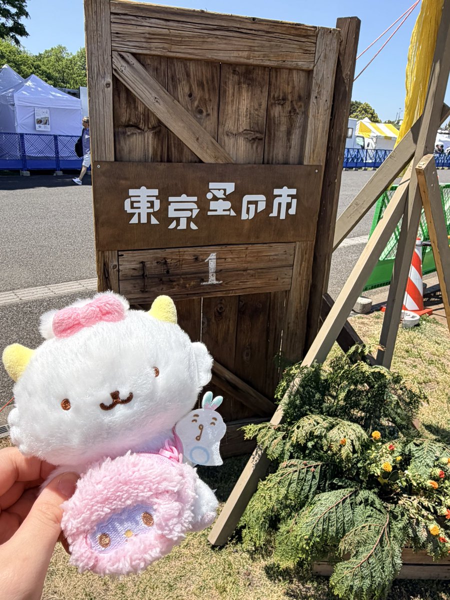 あにた@ぱわのものたち🦖🎀 tweet media