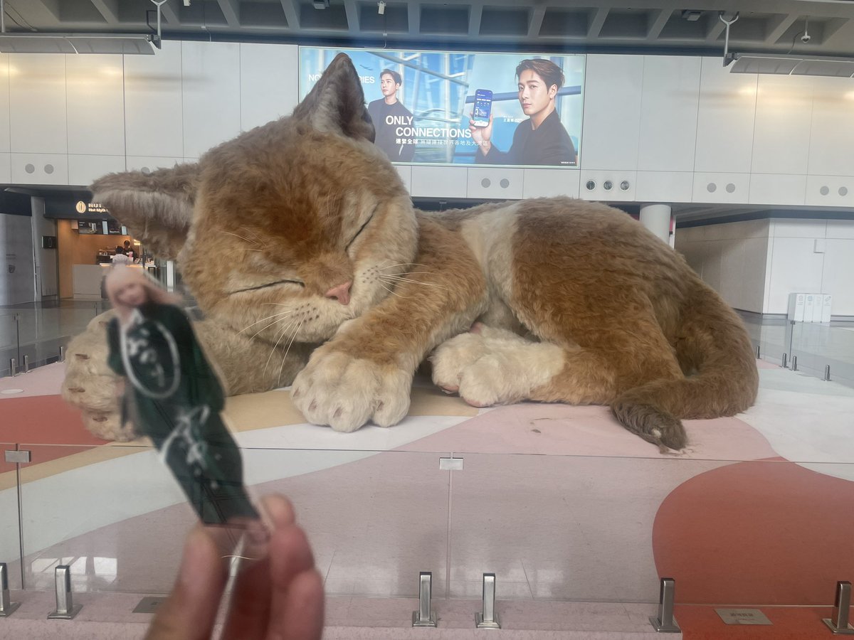 のりさん確認用です。 香港ついたー🇭🇰
