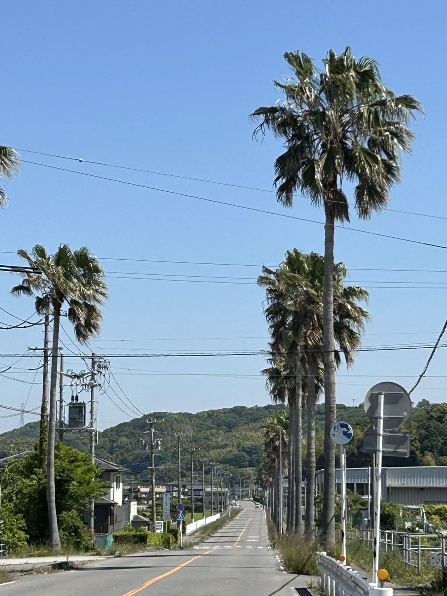 ランゆう tweet media