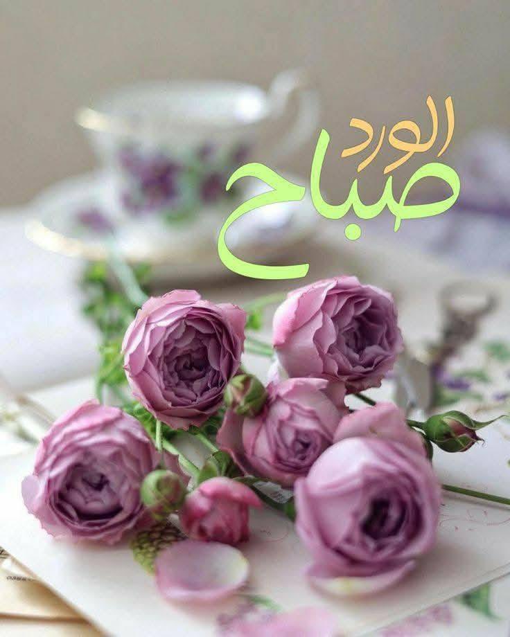 Mustahi89's tweet photo. #صباح_الأشياء_المُشرقة 
#صباح_الخير https://t.co/Sq8hmVye81