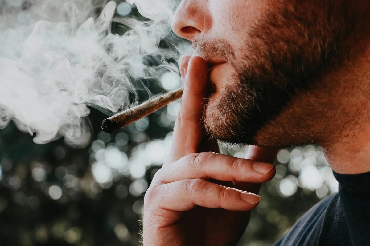 Silly Nice | Handcrafted NY Cannabis tweet media
