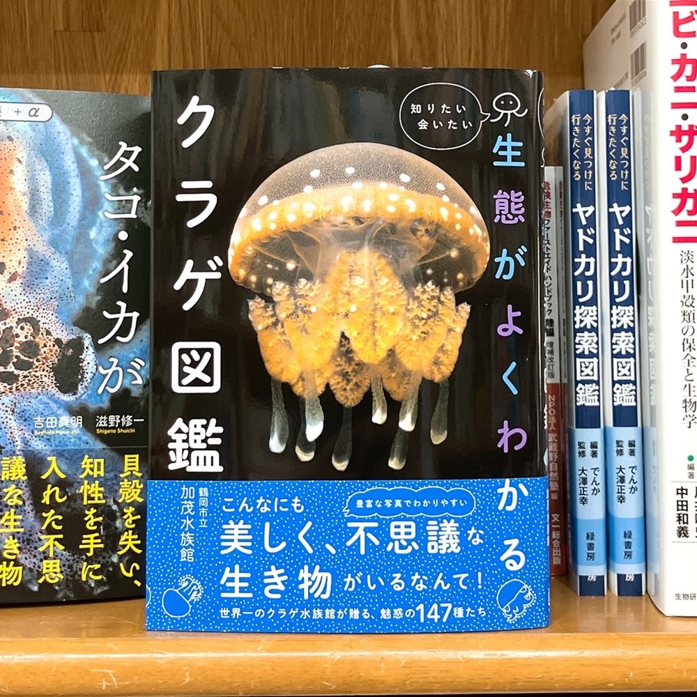 丸善ジュンク堂書店劇場 tweet media