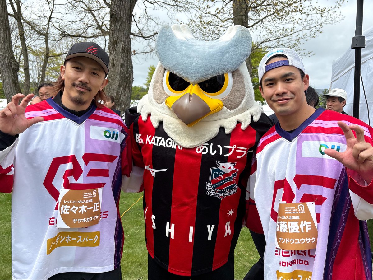 レッドイーグルス北海道 tweet media