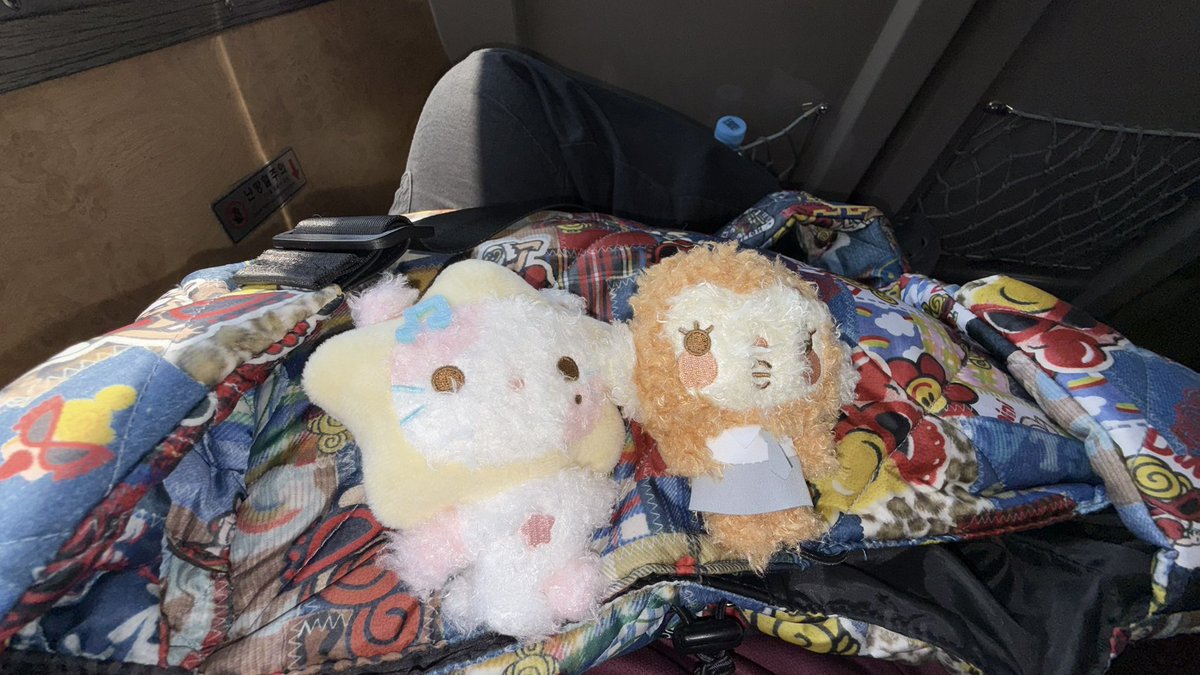 Oo2059's tweet photo. 너무귀여워 ㅃㅃ!🎶🧁 https://t.co/d3NEyTiwei
