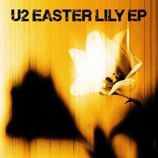 AllU2's tweet photo. Been feeling a bit down, personally, lately, and I found Easter Lily to be such a comfort, while driving this evening as the sun set and the skies darkened. Felt like a hug, and it doesn’t surprise me, because this is just one part of what U2 music does to me. So grateful. https://t.co/4XxHHiTFta