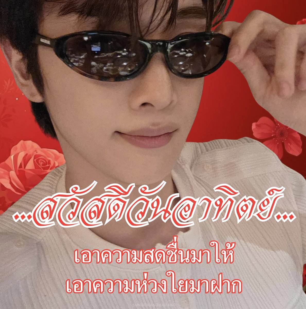 SUNGCHAN THAILAND 🇹🇭 tweet media