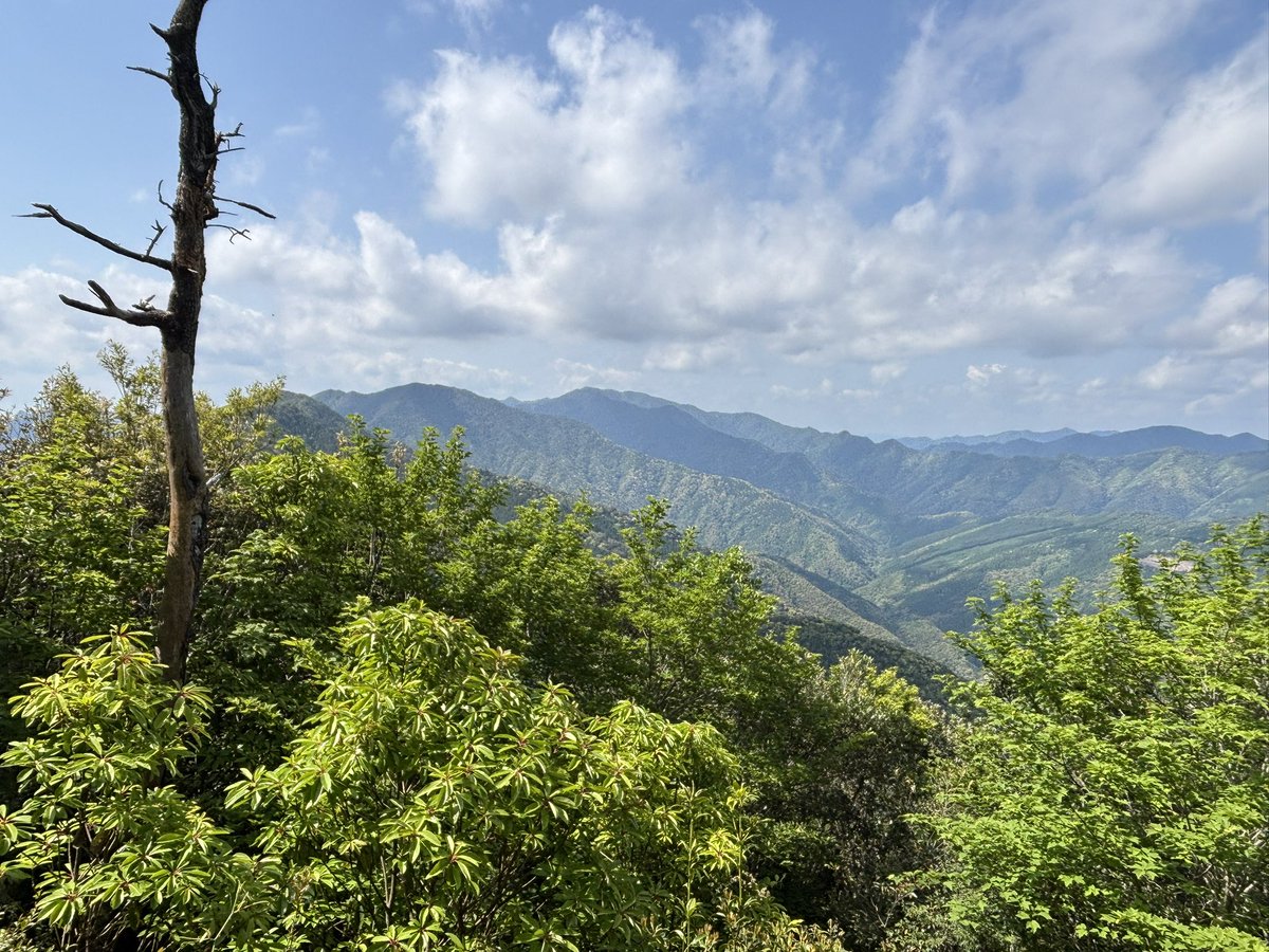 3Sky16's tweet photo. 昨日は地蔵岳、釈迦ヶ岳
全国平均斜度ランキング７位らしいので覚悟して登りました

宮崎県西都市 https://t.co/f9r7QlxsCg