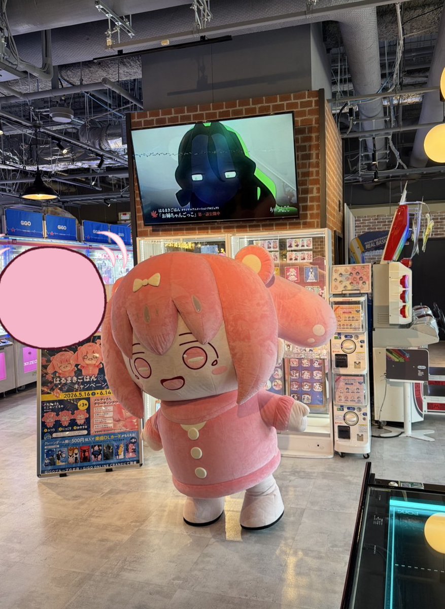 🍚はるまきごはん×GiGO 