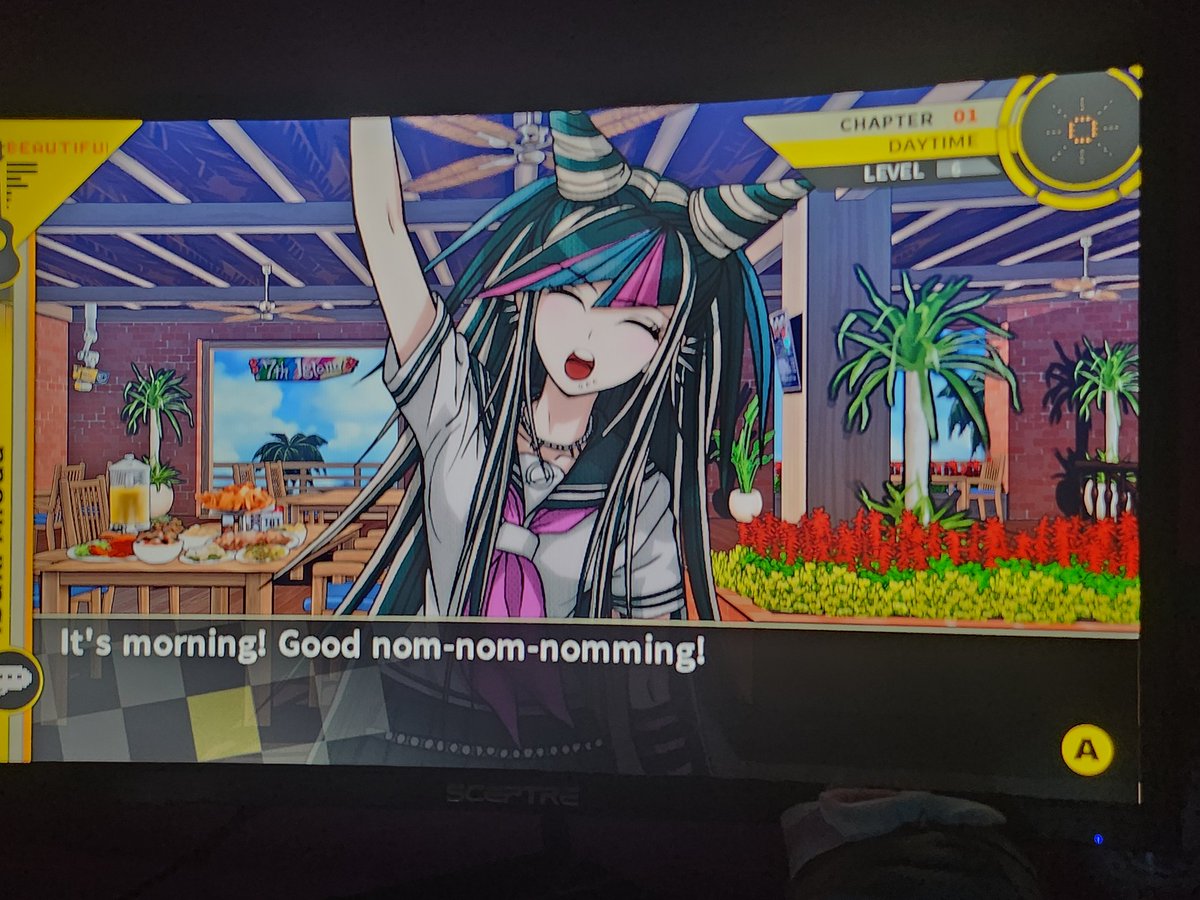 rina (robbie shapiro protect) tweet media