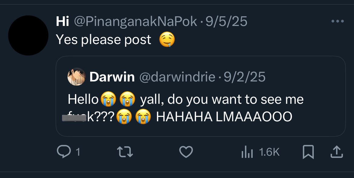 Pari Koy tweet media
