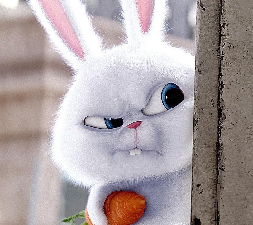 Snowball JC x Linkin Park 🐇🧛🎸 tweet media