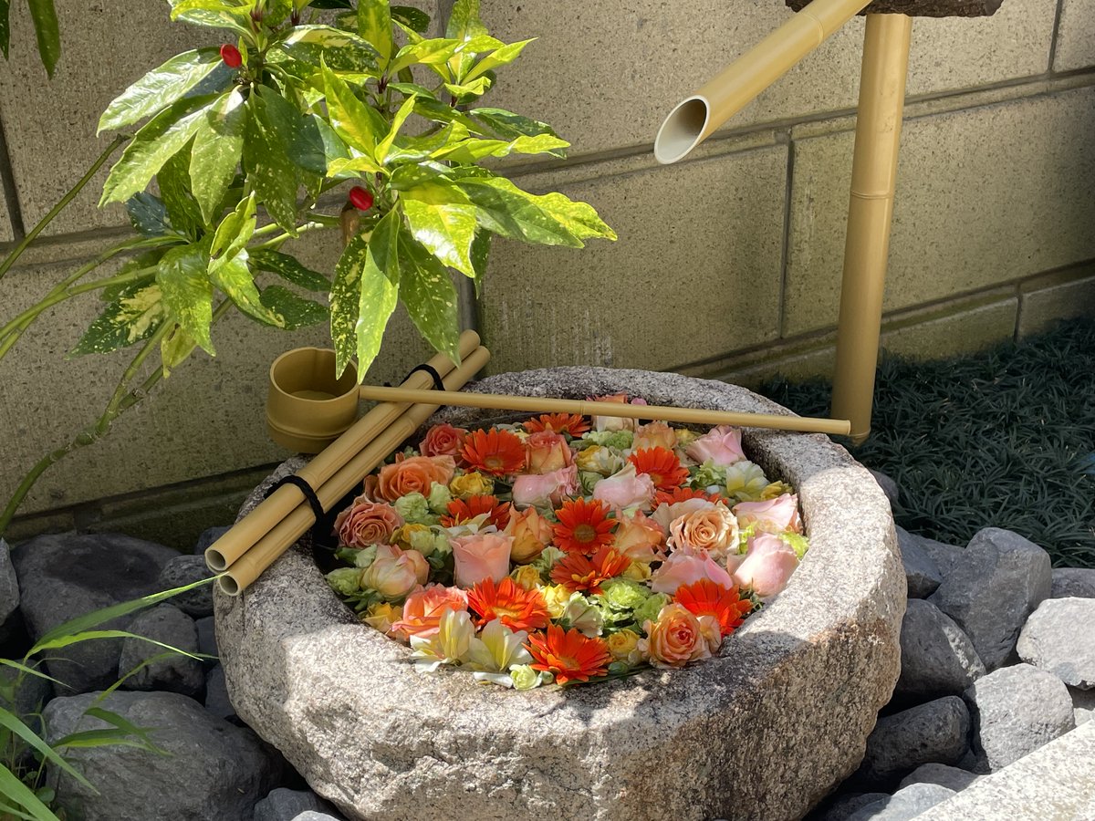 VariousGardens's tweet photo. 多摩市妙櫻寺さんの手水鉢。可愛くお作りいたしました！ https://t.co/ICgHppBx74