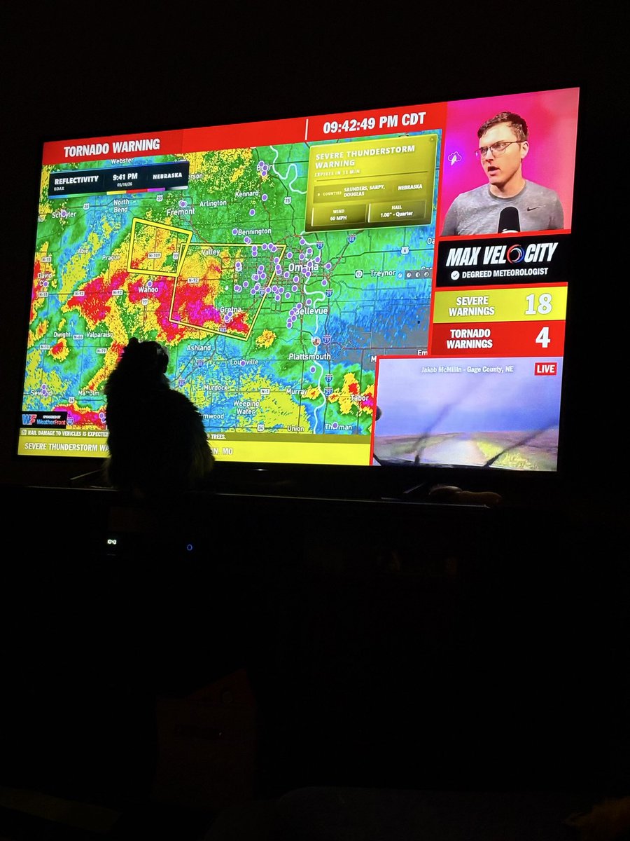 LuLuCornbread's tweet photo. @MaxVelocityWX a new stormchaser ⛈️ https://t.co/6M5VkkL1gn