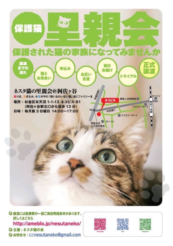 crotchet_cafe's tweet photo. 本日は #保護猫チャリティーイベント

🐱crotchet / meow vol.36 🐱
🕧12:30〜16:30
入場無料です♪

また、地下のstudioではネスタ猫の会さんによる猫の里親会も同時開催！
🕑14:00〜17:00

皆さまのお越しをお待ちしております🐈‍⬛

#阿佐ヶ谷 https://t.co/PymbTAuDaf