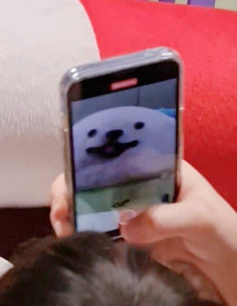 เฟ๋ว 🍊. ˚◞♡ tweet media