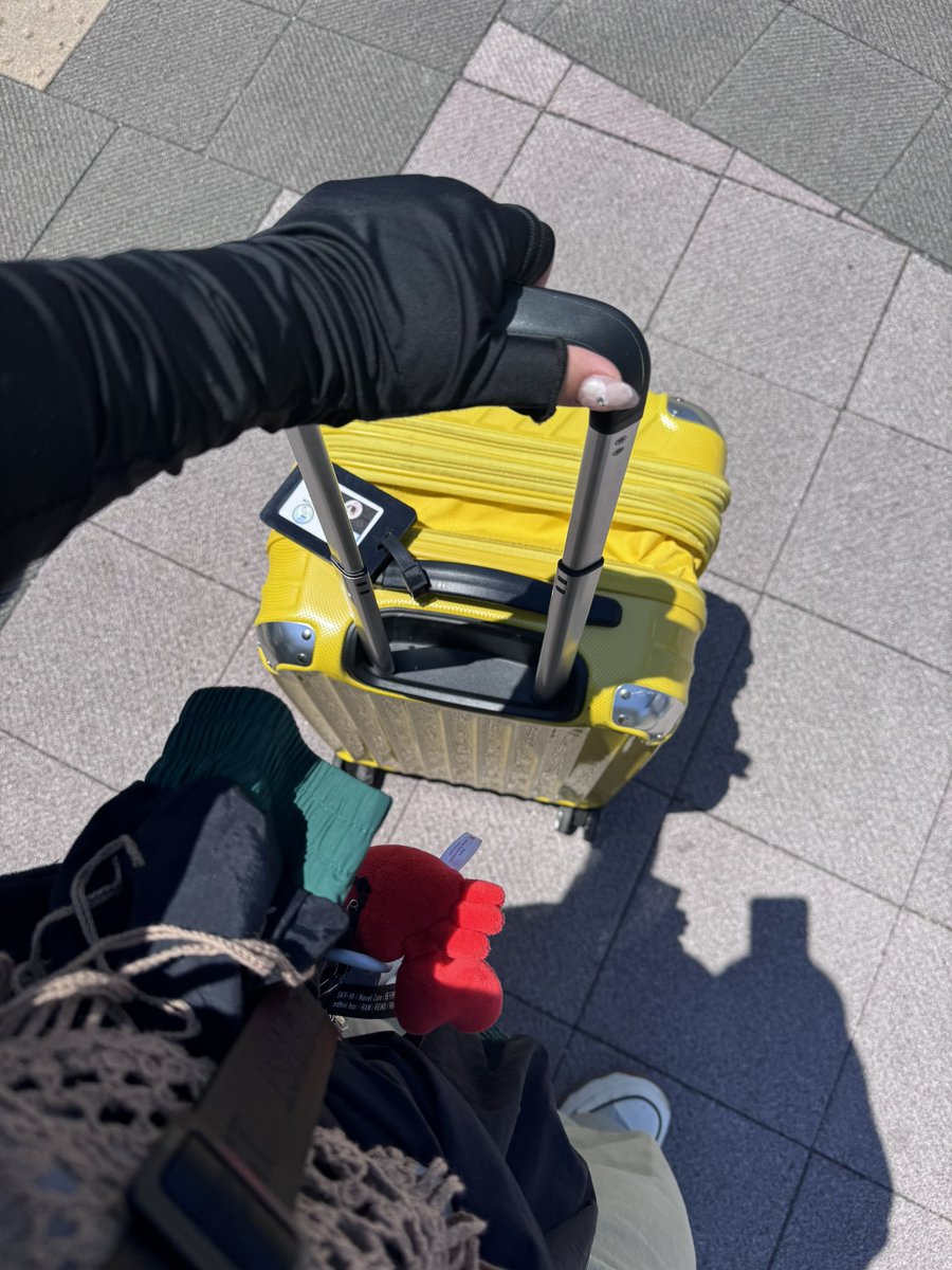 りょうた☺︎🎁🌞🦁🐢 tweet media
