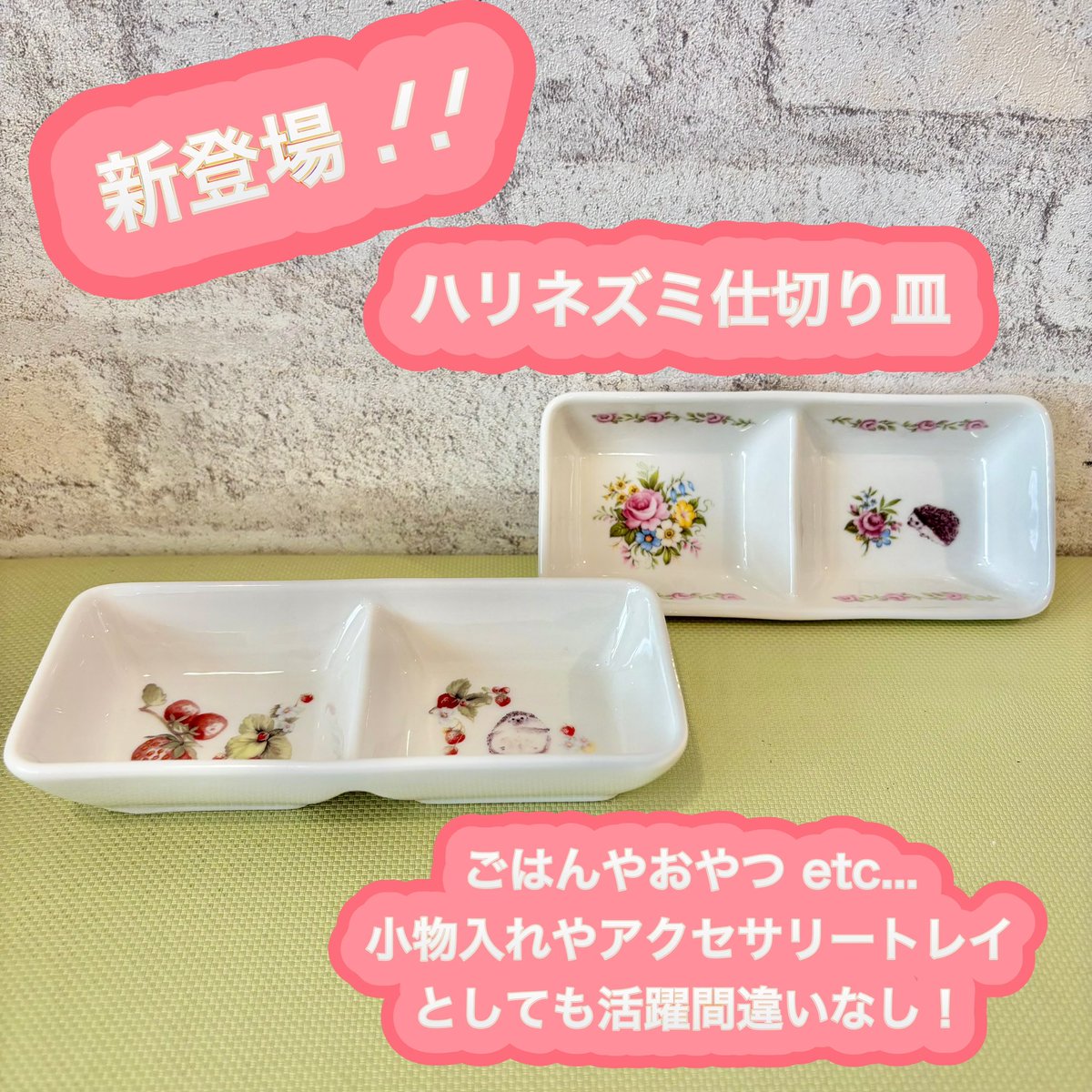 ハリネズミ専門カフェ HARRY WOOD(ハリーウッド) 名古屋栄店 tweet media